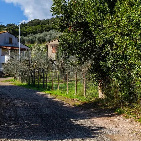 Apartman Casa Marina Ampio - Castiglione *