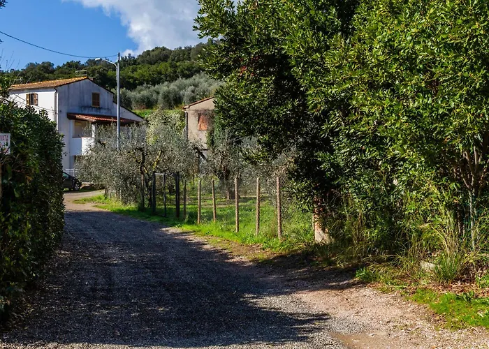 Casa Marina Ampio - Castiglione 公寓 *